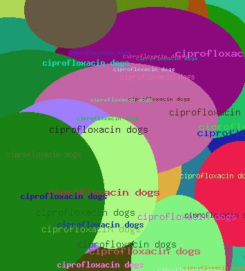 ciprofloxacin dogs